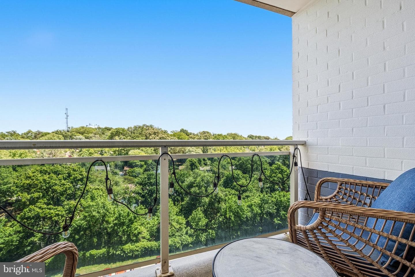 7333 New Hampshire Avenue #1106 photo 10