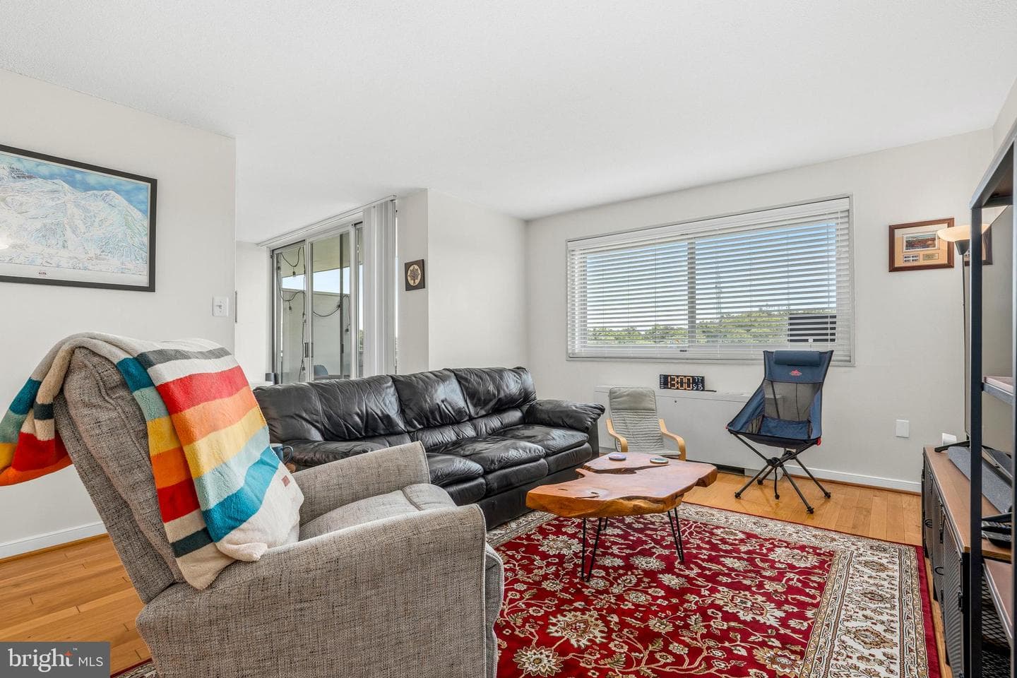7333 New Hampshire Avenue #1106 photo 8