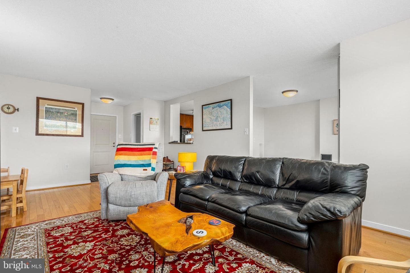 7333 New Hampshire Avenue #1106 photo 9