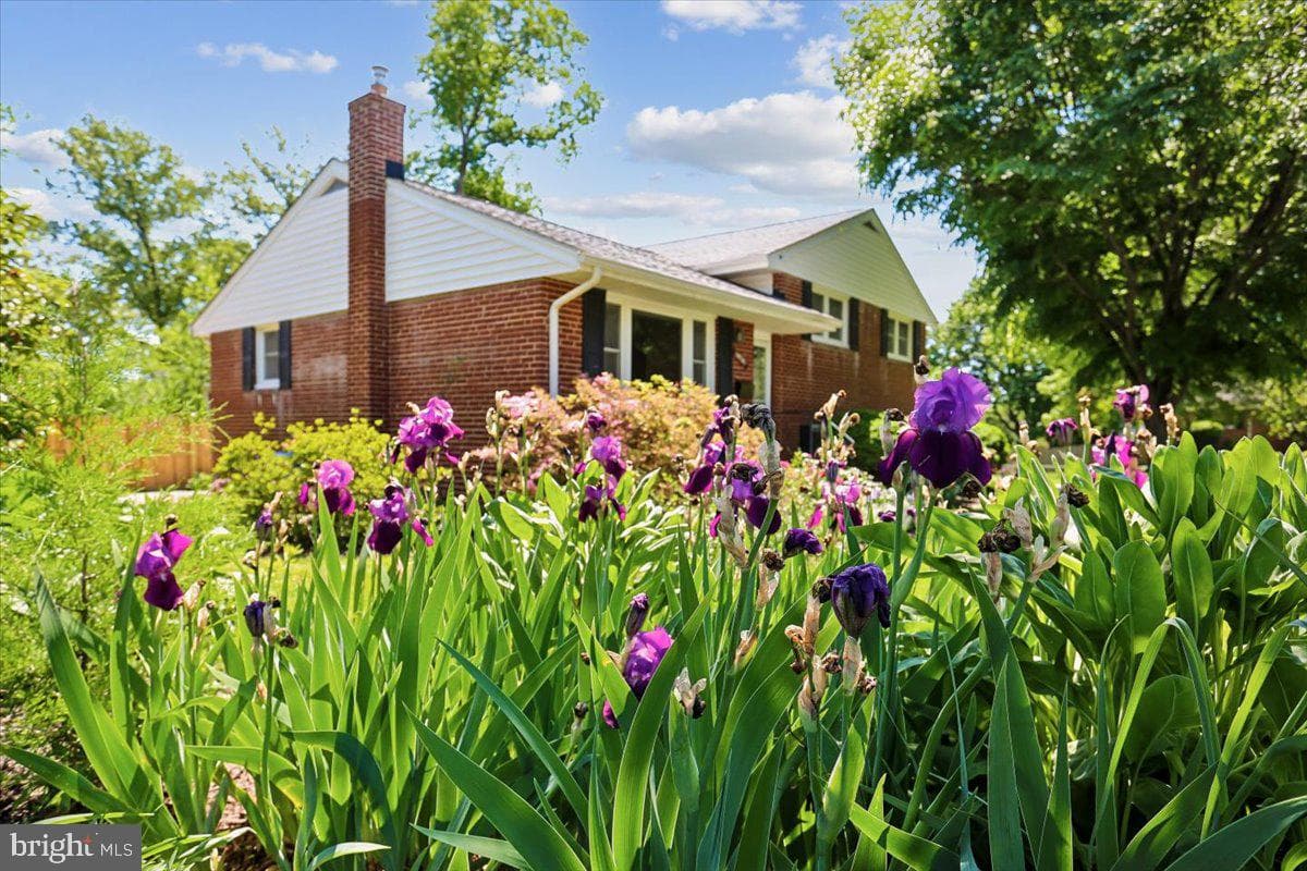 10701 Brunswick Avenue photo 40