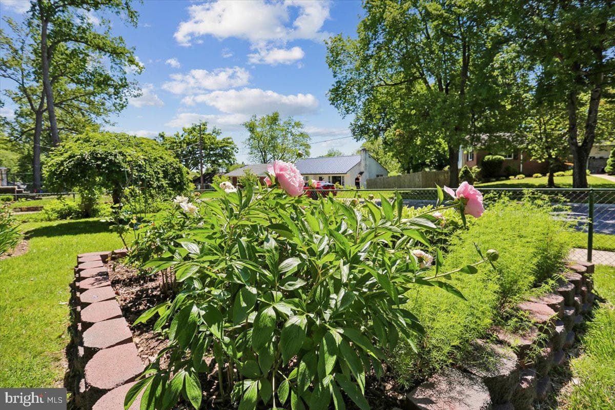 10701 Brunswick Avenue photo 43