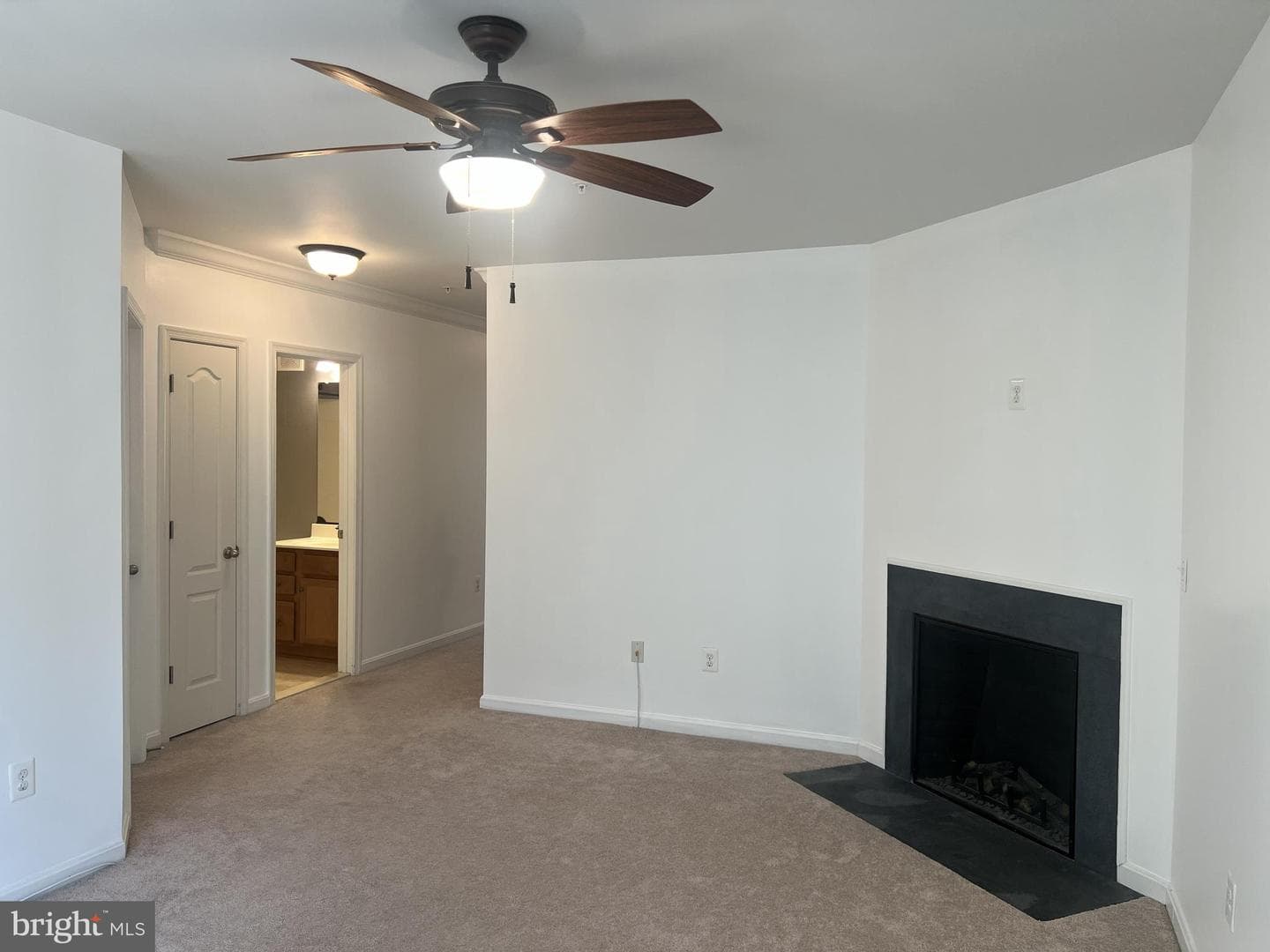 11964 Little Seneca Parkway #2561 photo 34