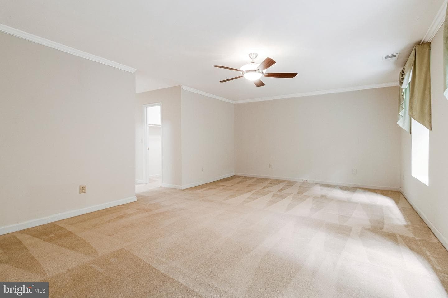 10009 New London Drive photo 44