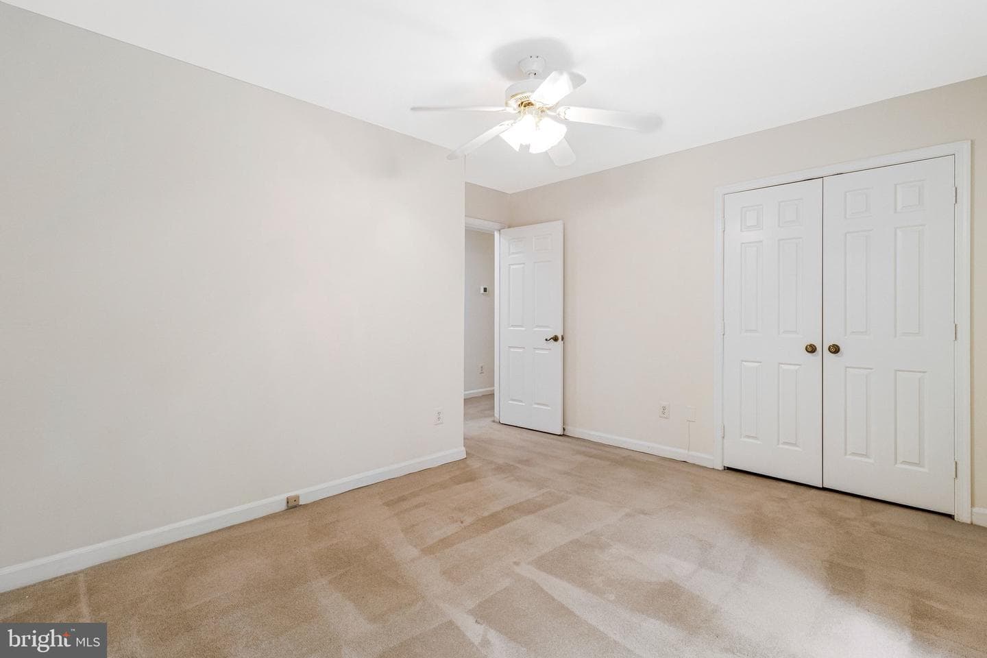 10009 New London Drive photo 59