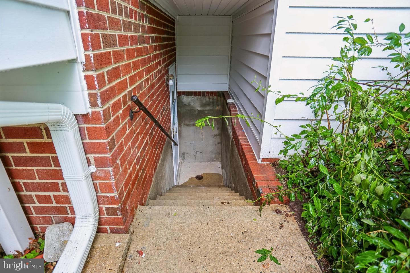 907 Hoyt Street photo 62
