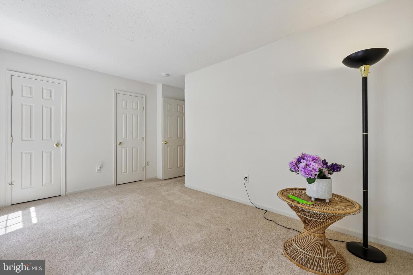 1 Chagall Ct photo 42
