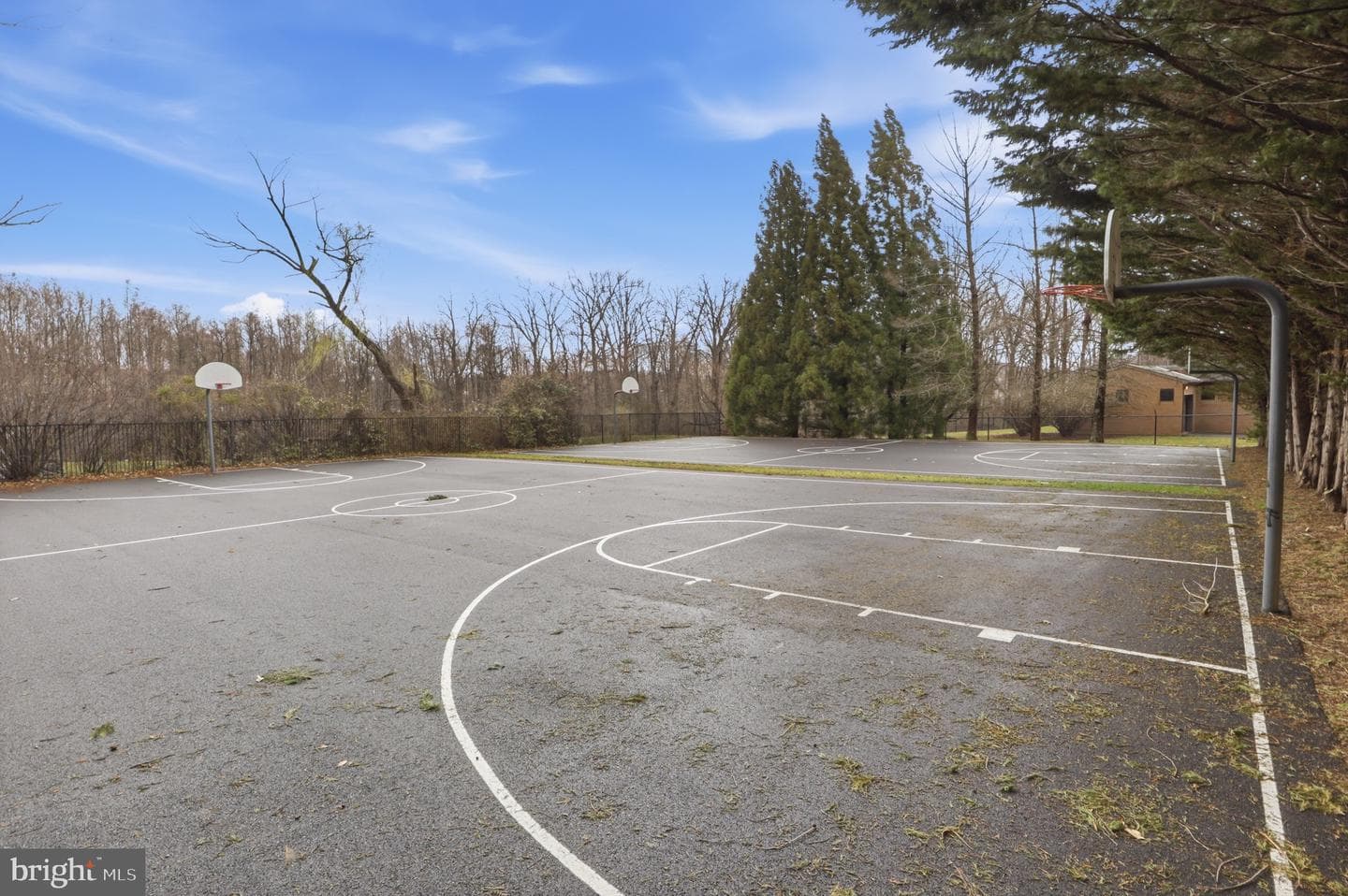 11418 Tall Forest Circle photo 44