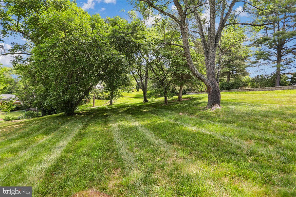 23920 Janbeall Court photo 32