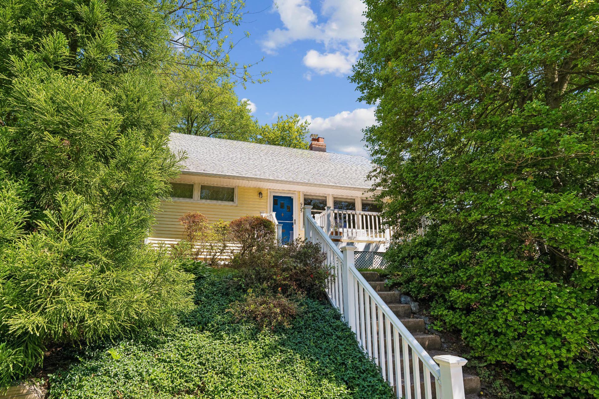 905 Robin Road photo 3