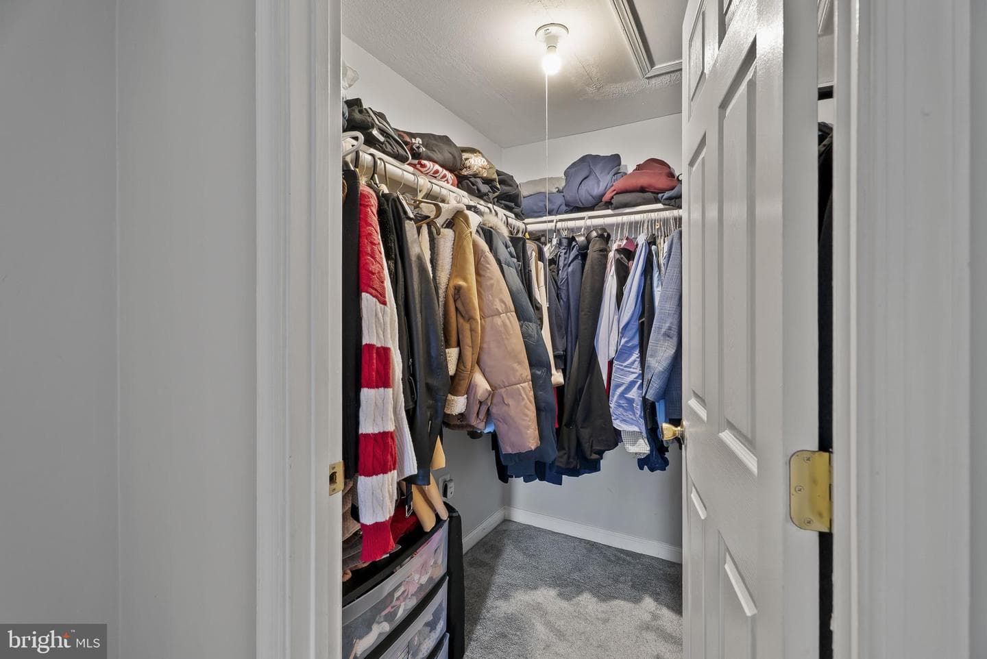 13465 Demetrias Way photo 23