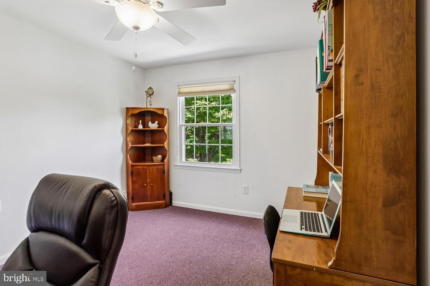12007 Titian Way photo 47