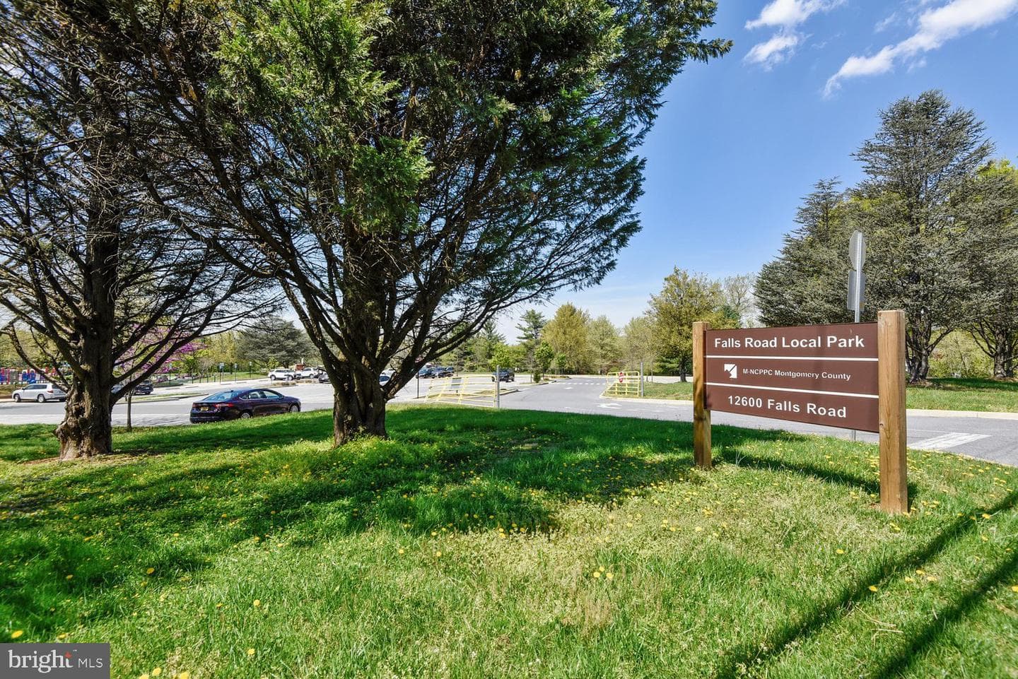 12007 Titian Way photo 80
