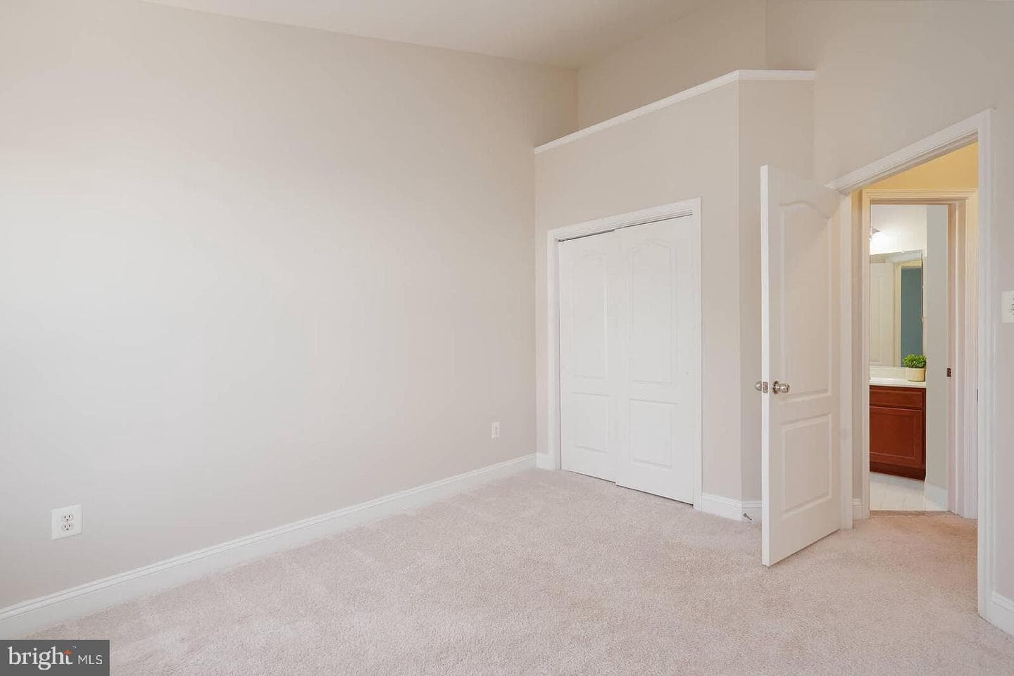 12525 Blue Sky Drive photo 26