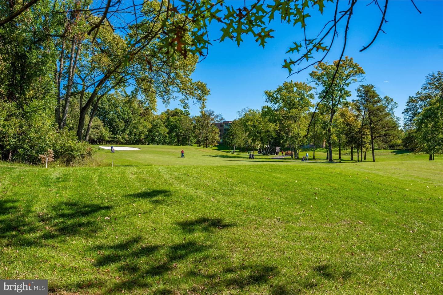 3451 S Leisure World Boulevard #83-G photo 62