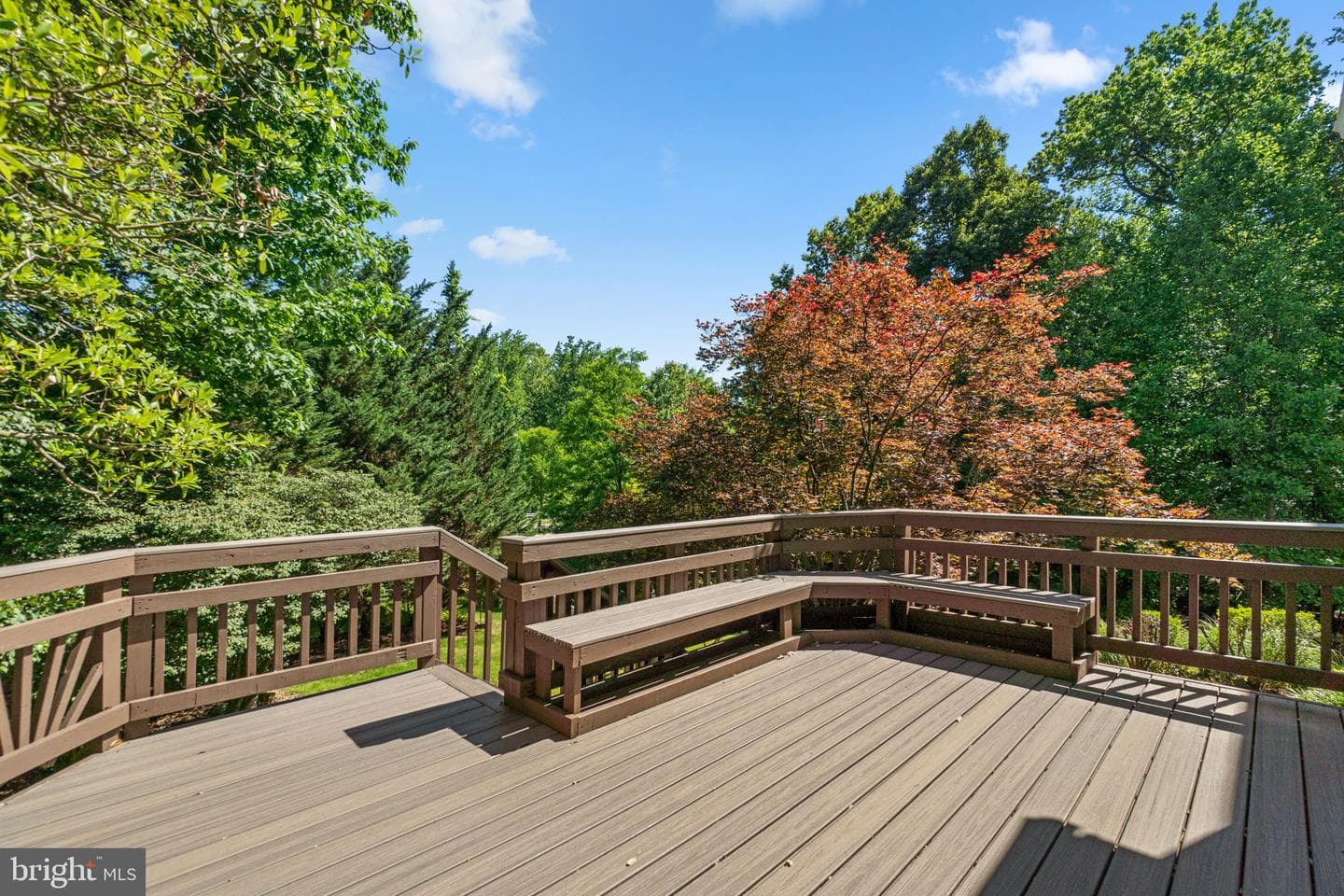 22707 Timber Creek Lane photo 58