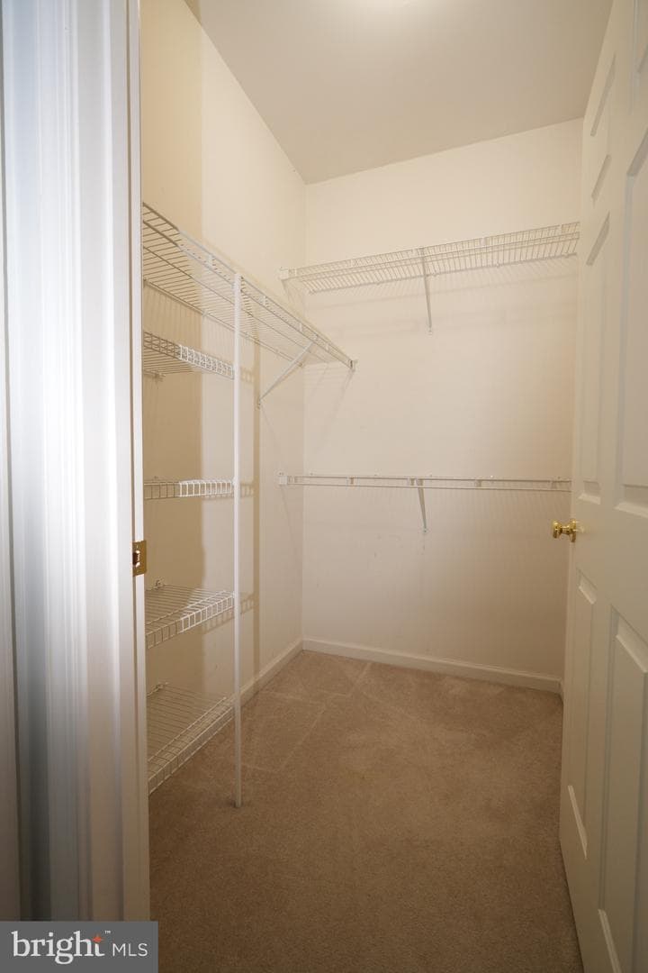 506 Leaning Oak Street photo 51