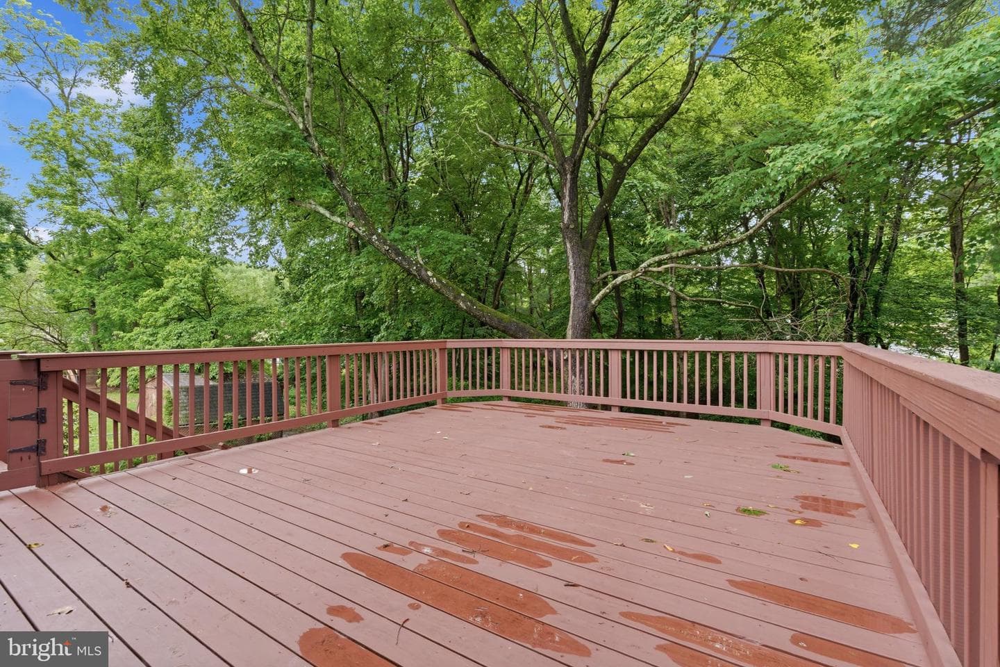 14114 Arctic Avenue photo 34