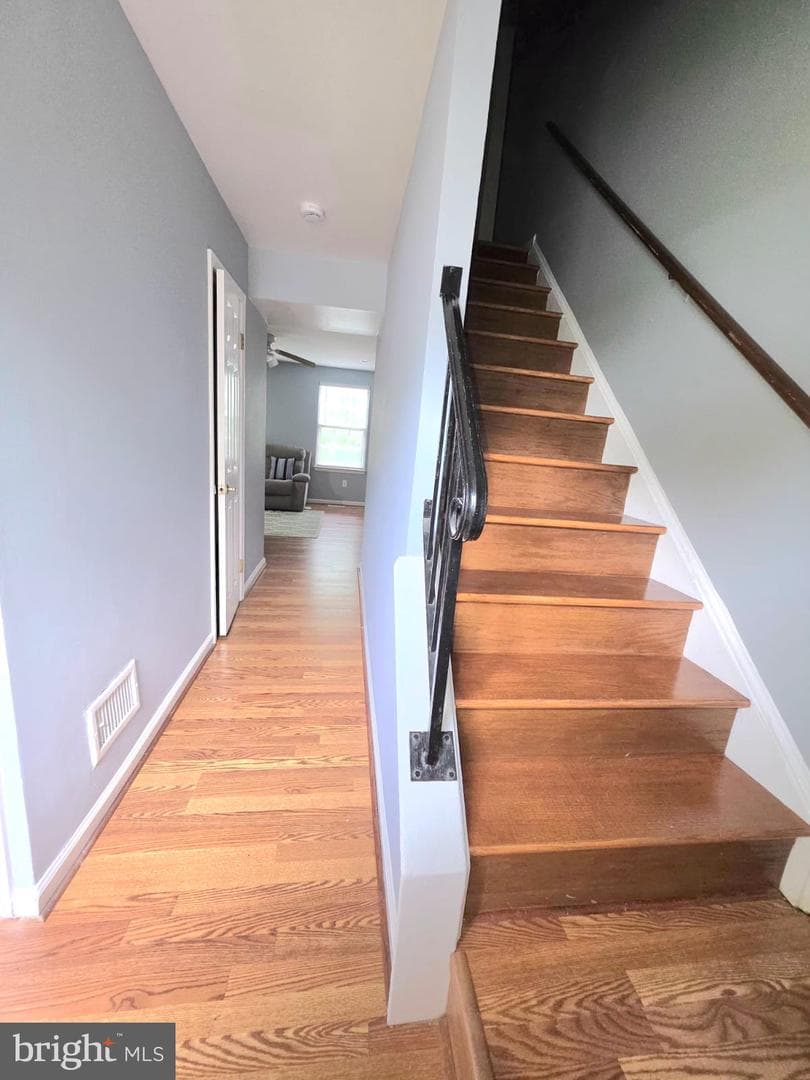 9105 Chesley Knoll Court photo 14