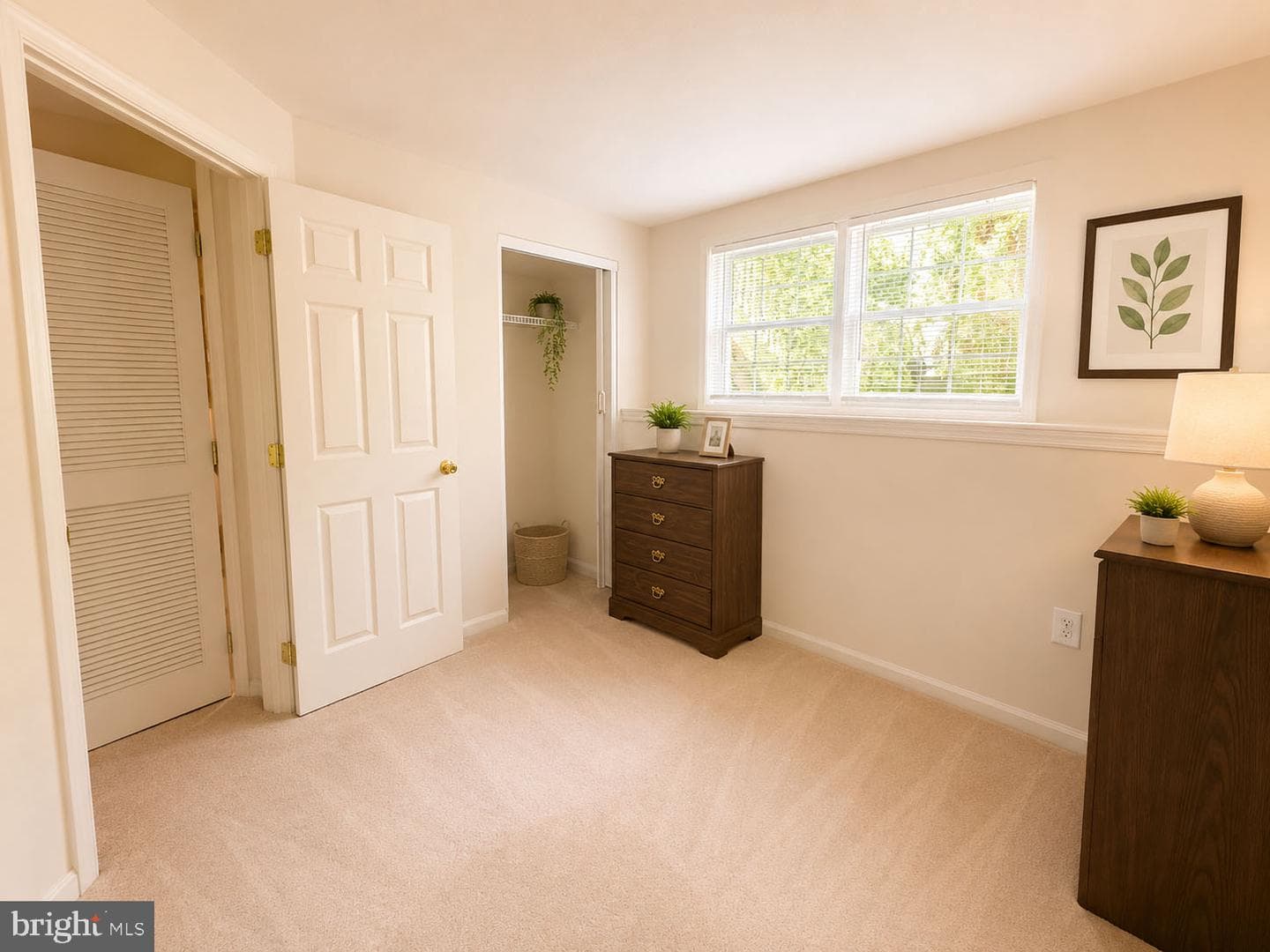 20249 Red Buckeye Ct photo 25