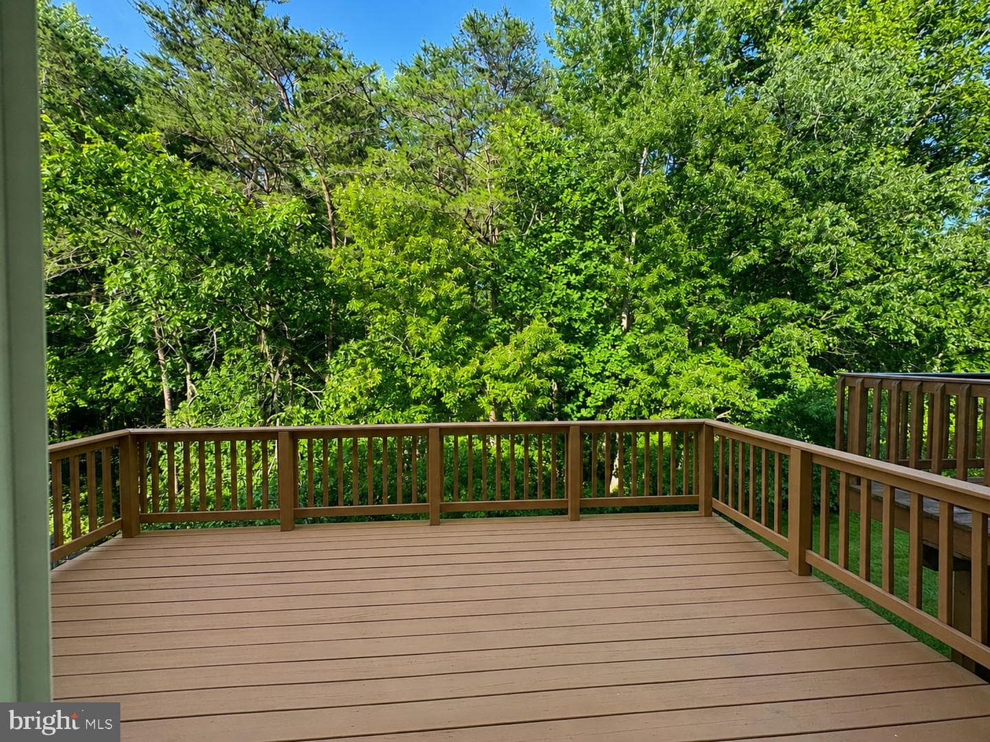 20249 Red Buckeye Ct photo 28