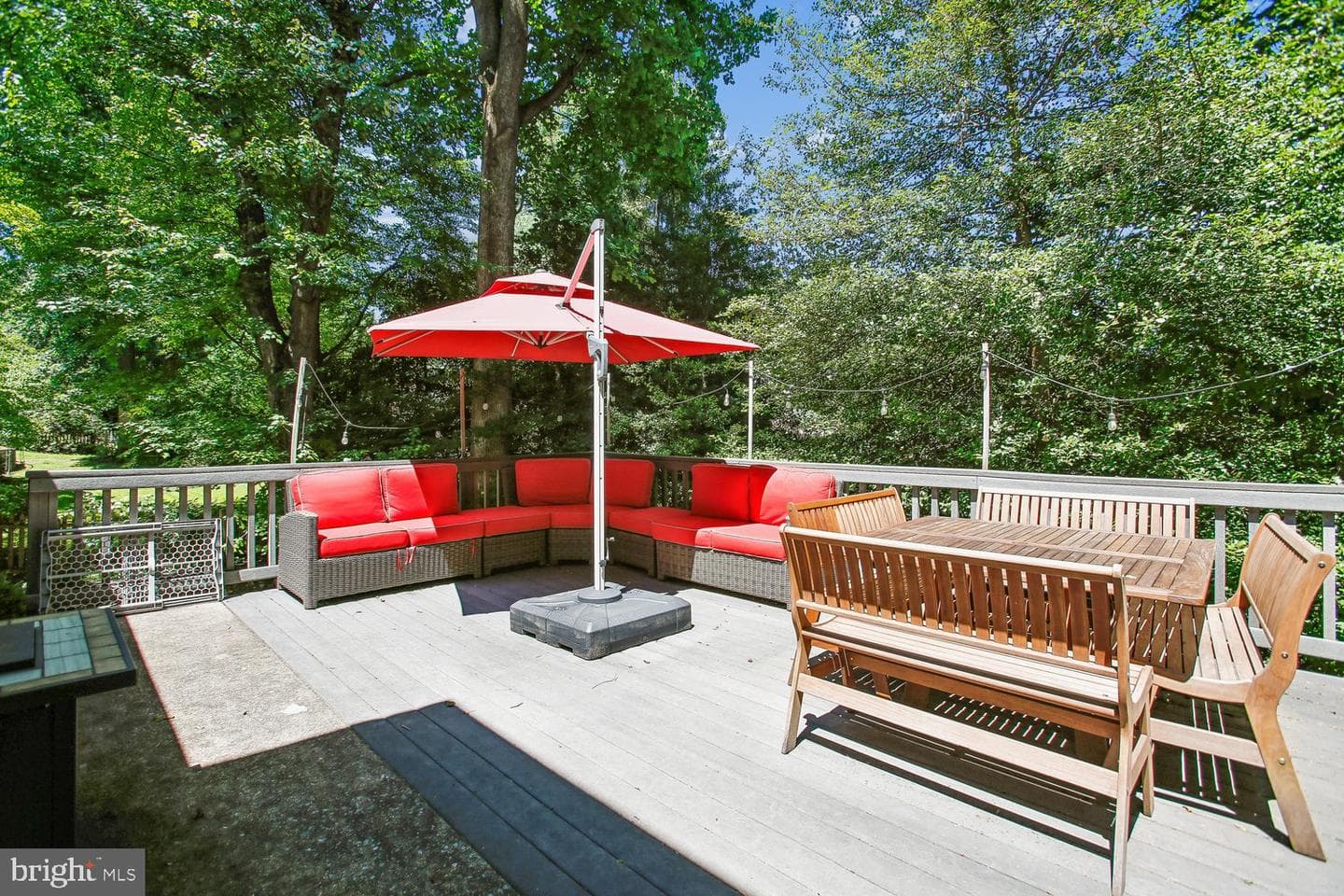 11303 Hounds Way photo 24