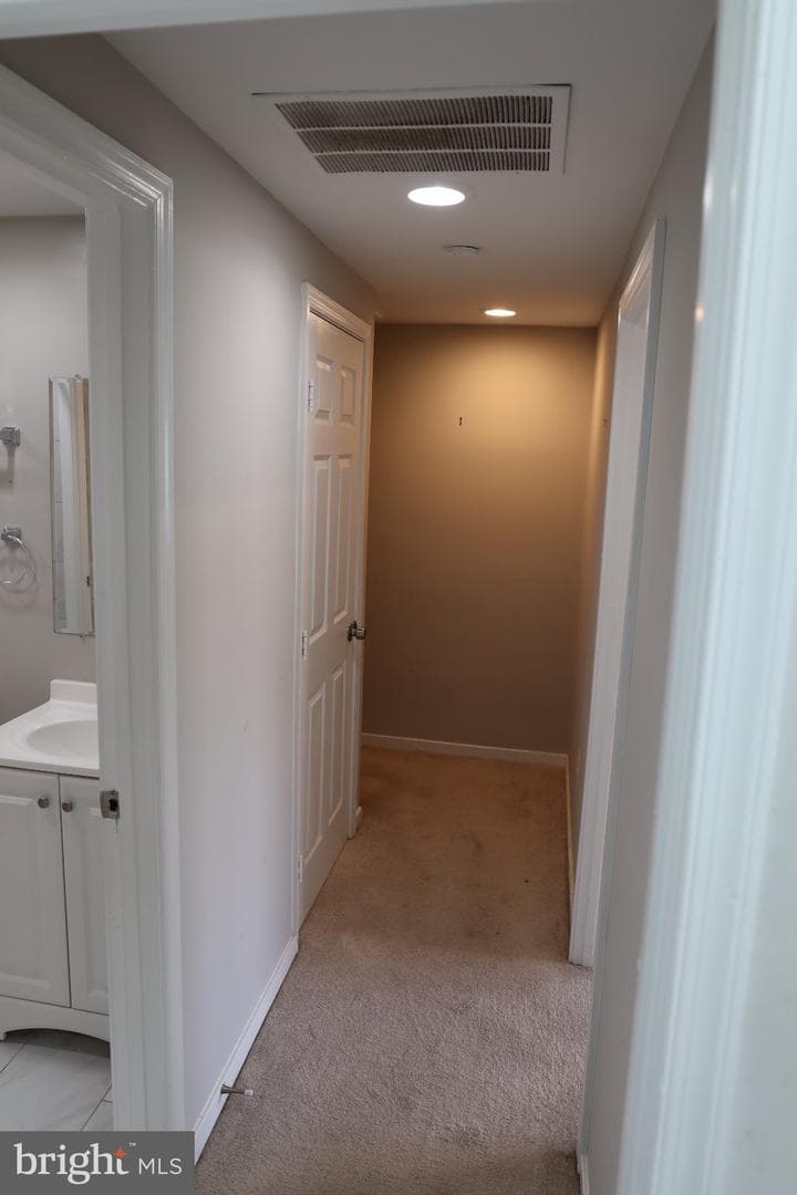 9709 Hellingly Place #56 photo 33