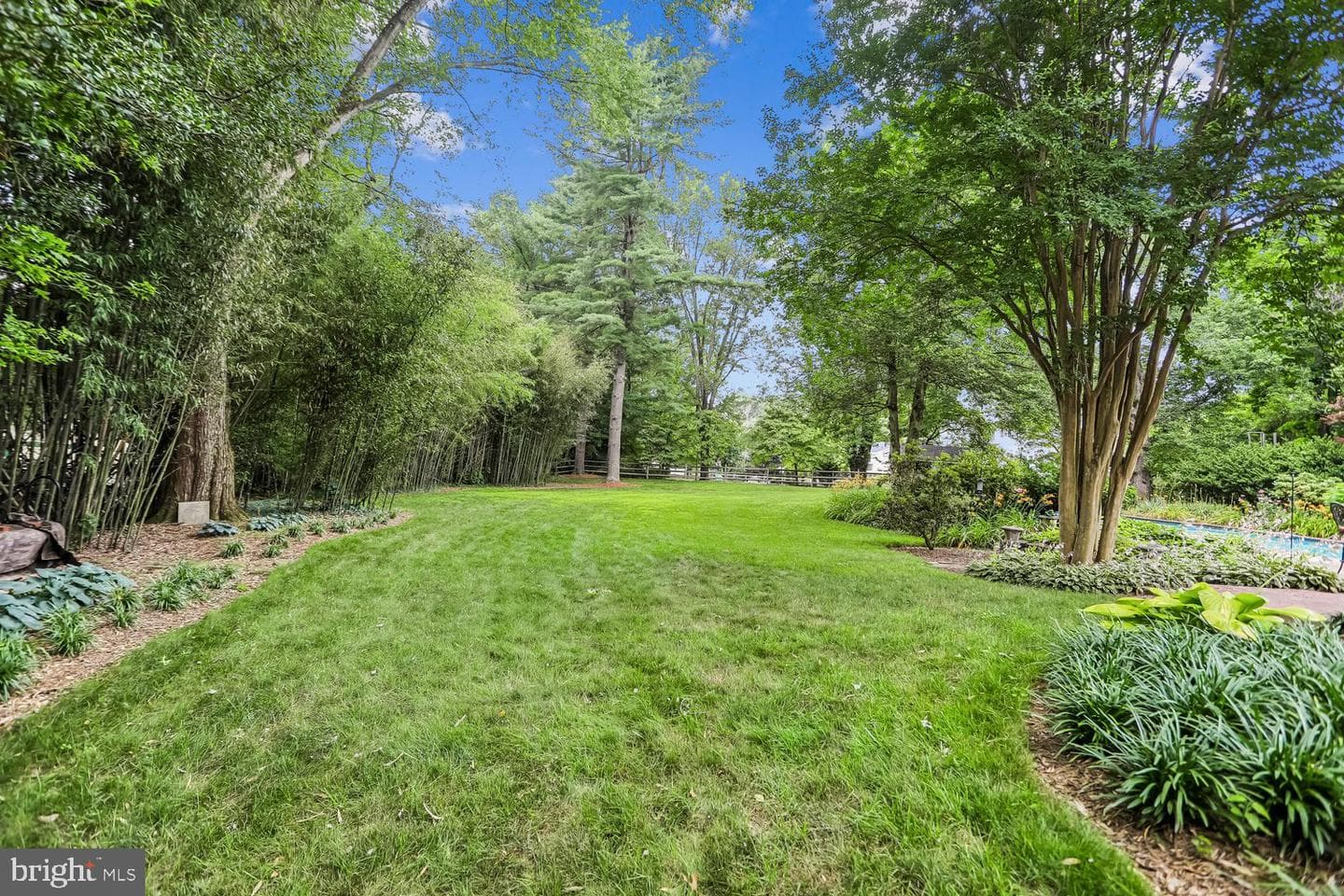 15704 Ancient Oak Drive photo 5