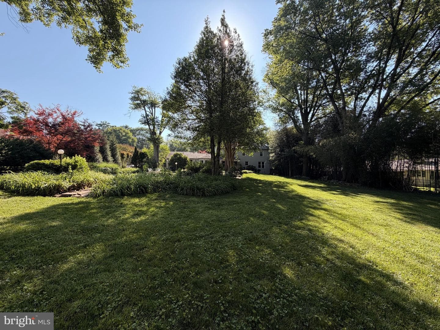 15704 Ancient Oak Drive photo 92