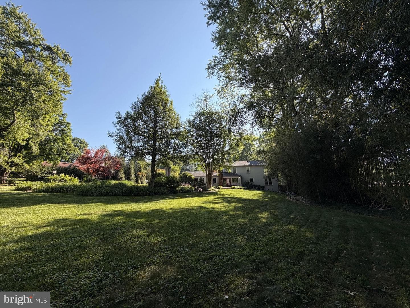 15704 Ancient Oak Drive photo 95