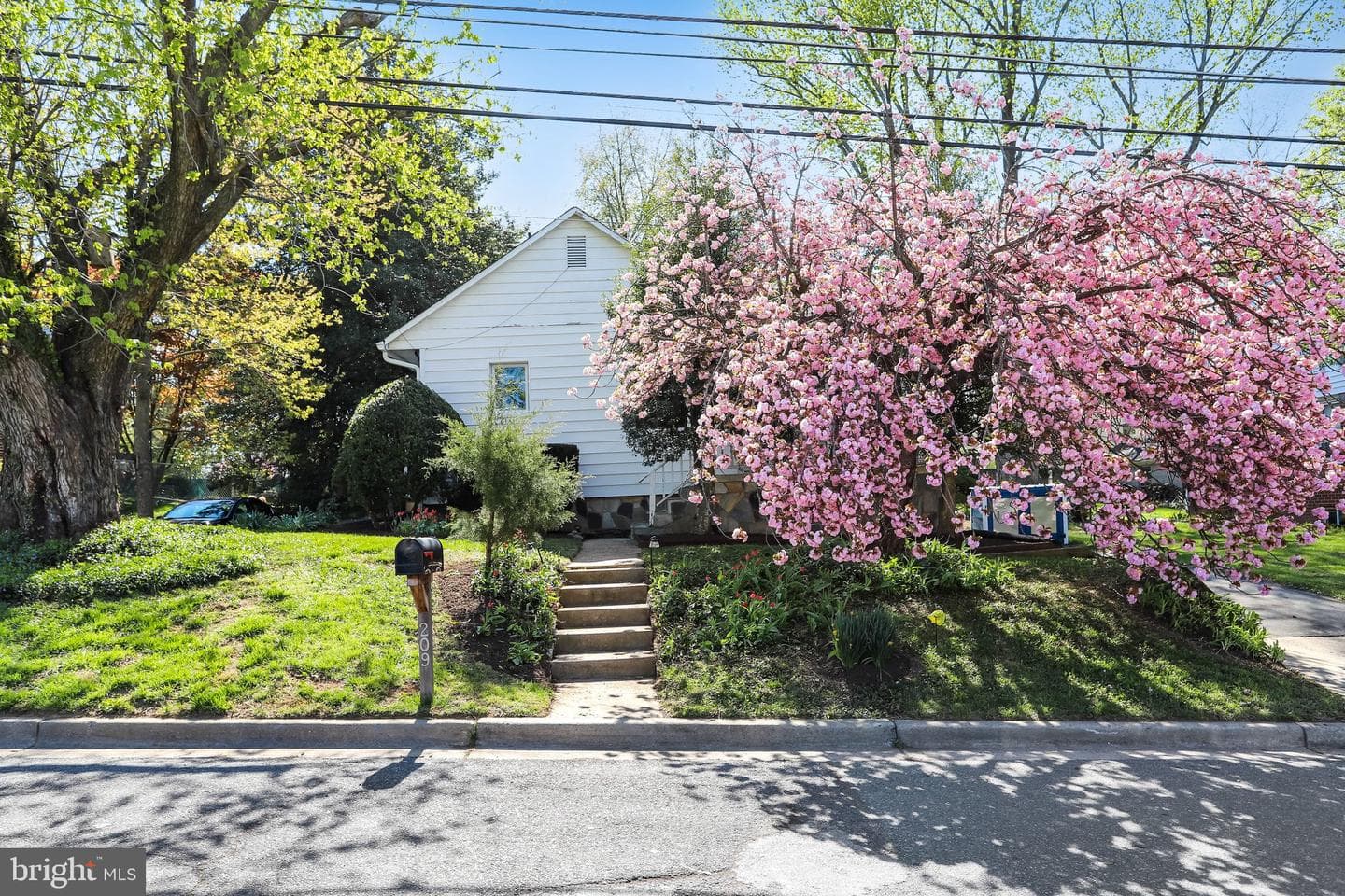 209 Cedar Avenue photo 5