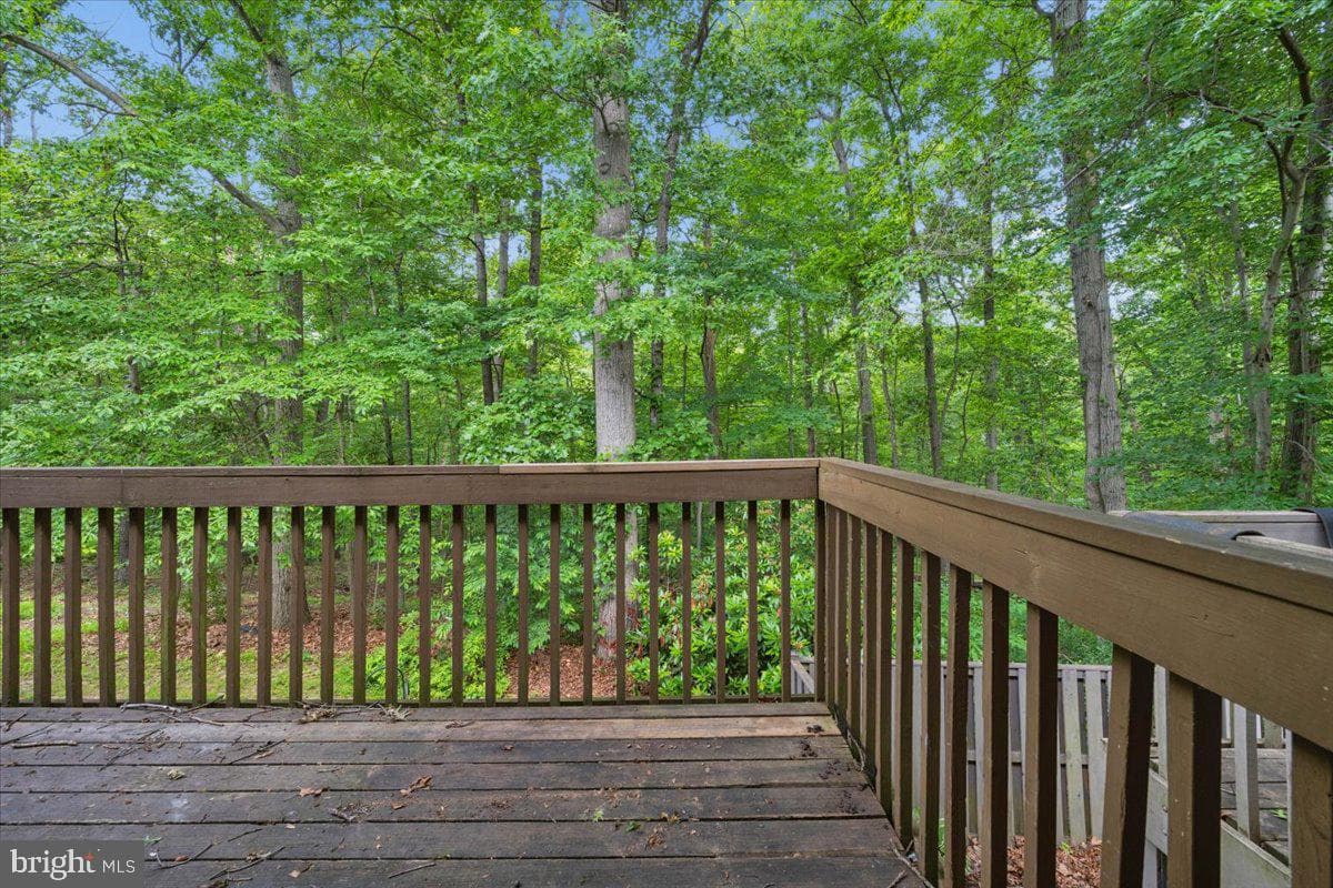 10113 Maple Leaf Drive photo 10