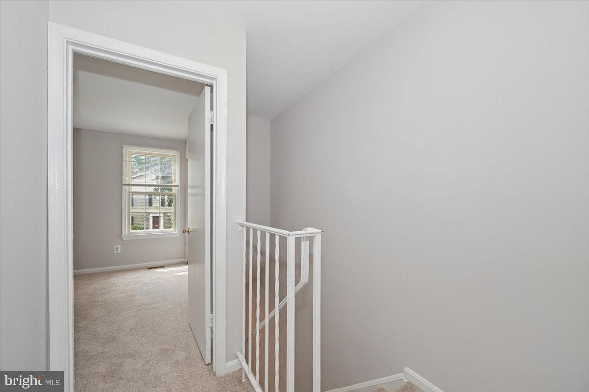 10113 Maple Leaf Drive photo 23