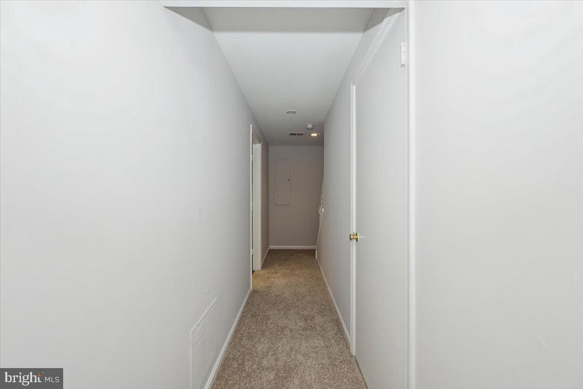 10113 Maple Leaf Drive photo 40