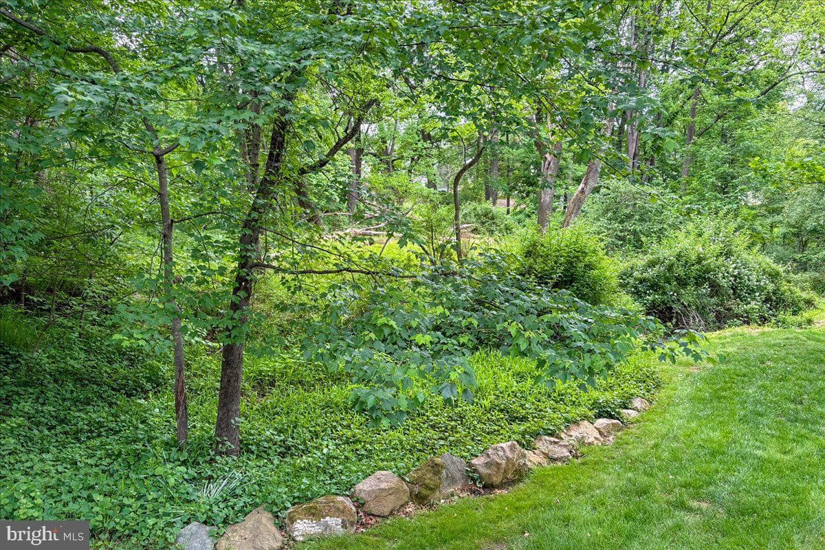 4 Deer Trail Court photo 62