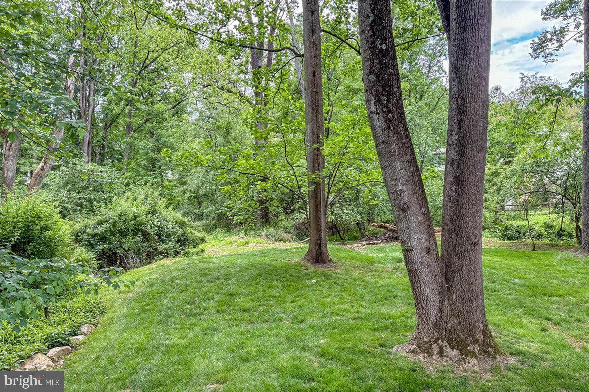 4 Deer Trail Court photo 63