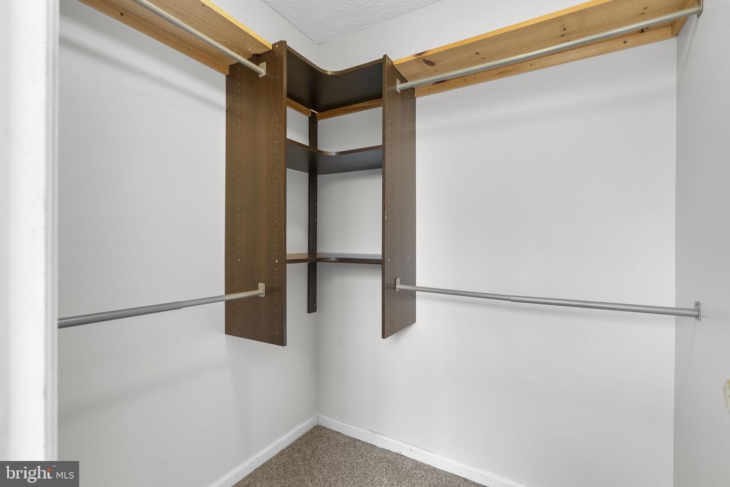 12539 Coral Grove Place photo 15