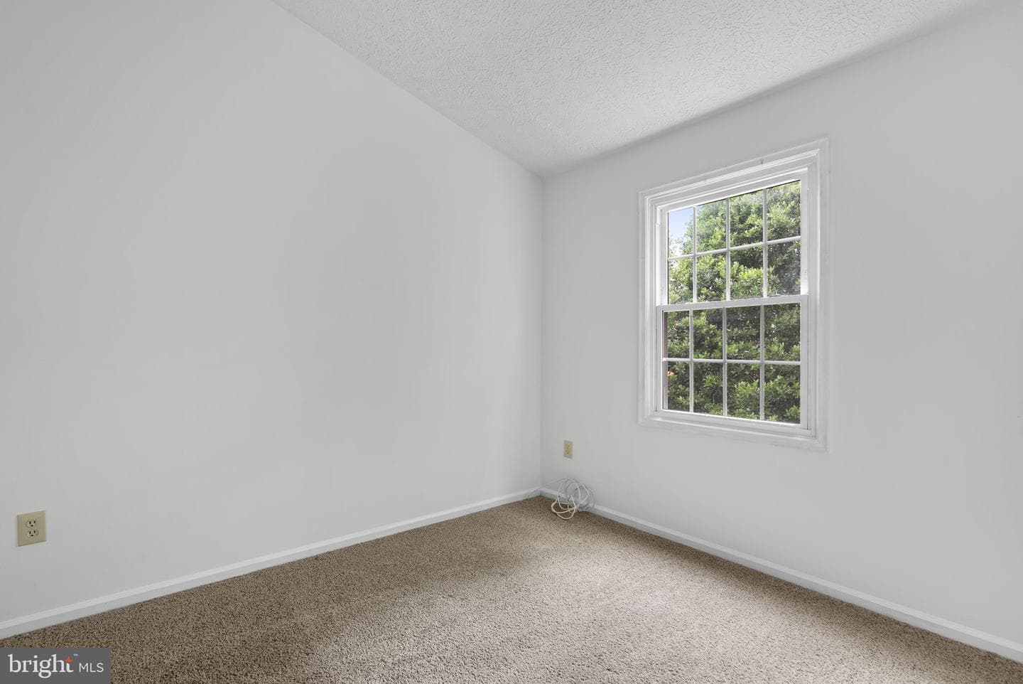 12539 Coral Grove Place photo 18
