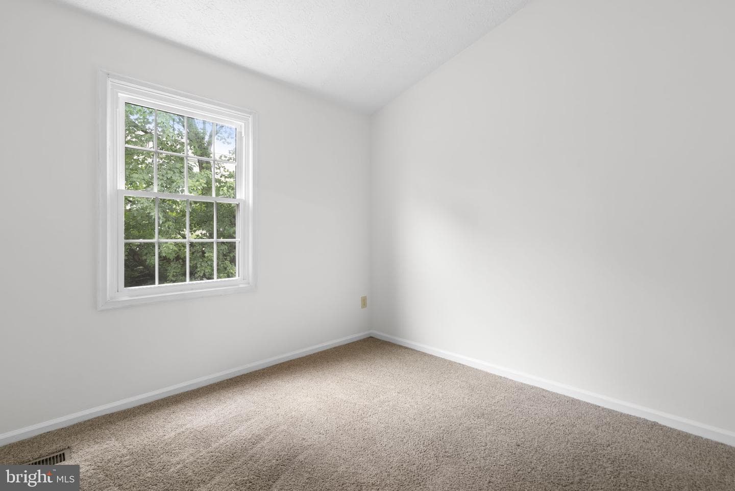 12539 Coral Grove Place photo 20