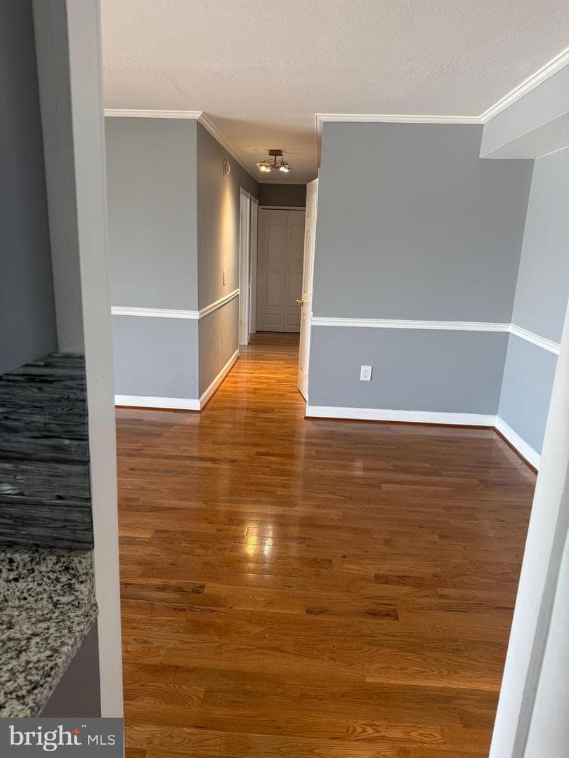 8308 Flower Avenue #401 photo 7