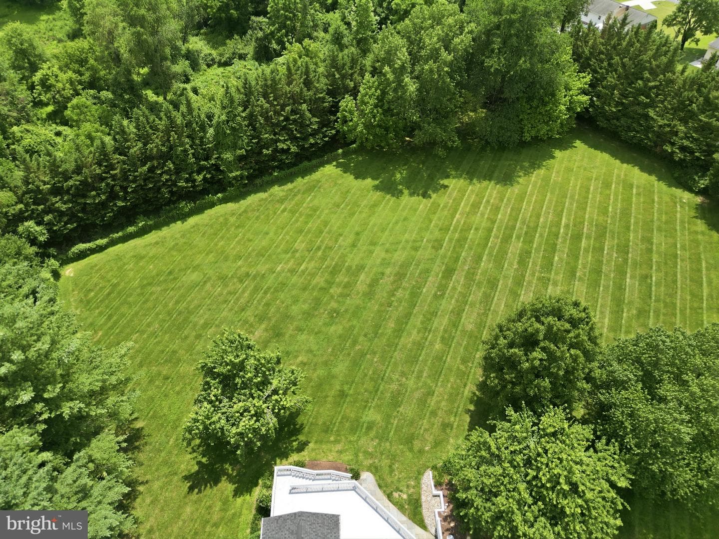 11824 Morning Star Drive photo 47