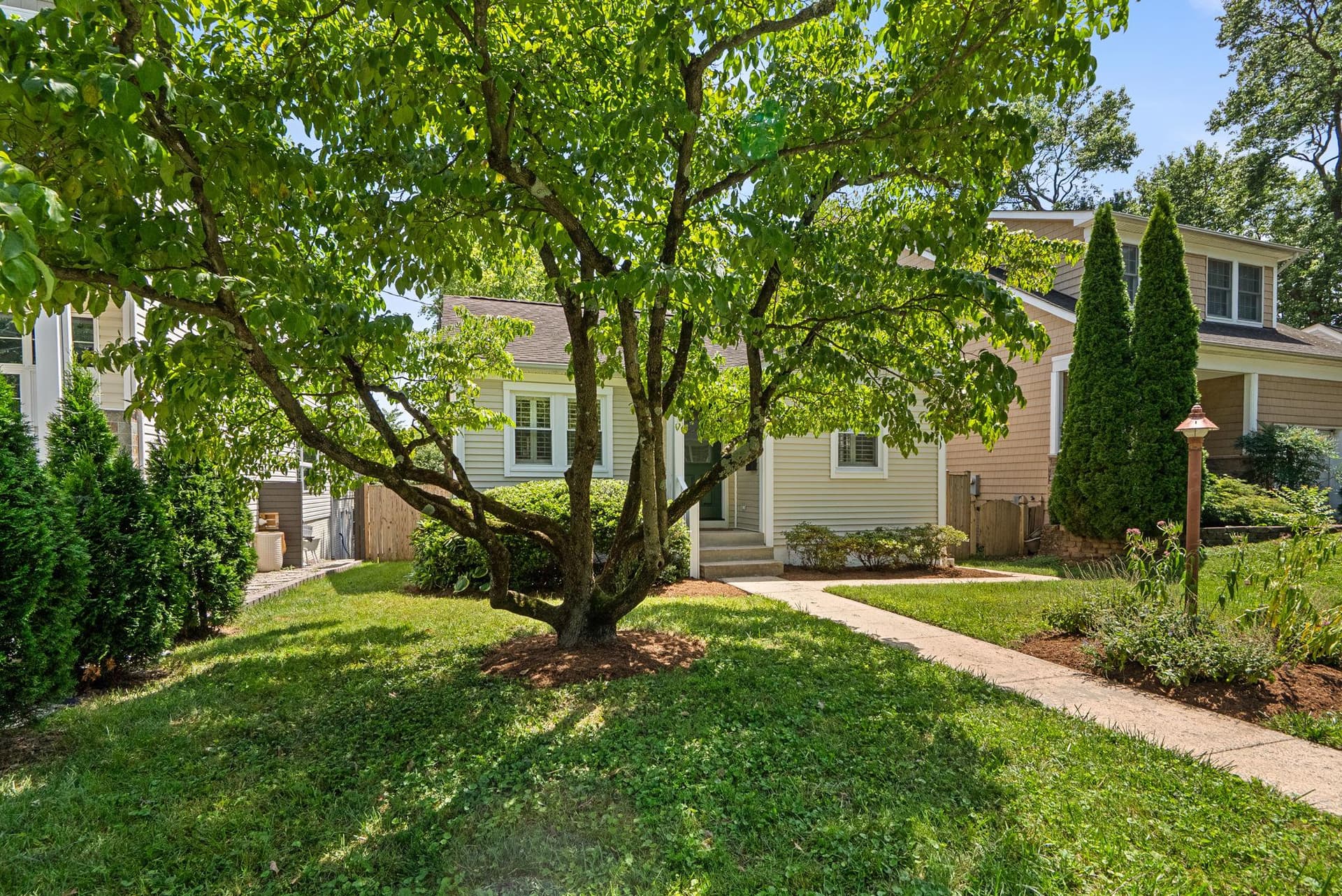 513 Park Road photo 3