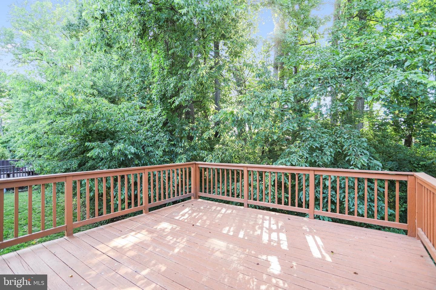 12163 Flag Harbor Drive photo 39