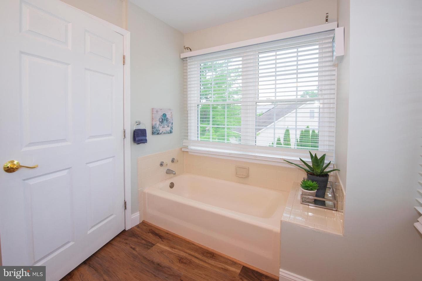 8698 Delcris Drive photo 27