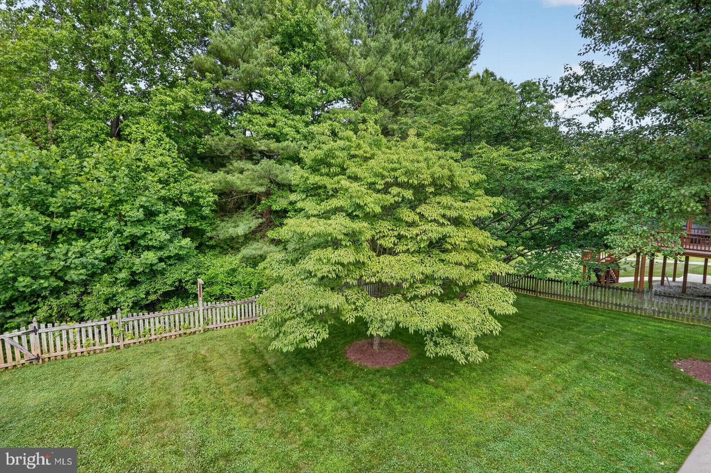 11501 Seneca Forest Circle photo 44