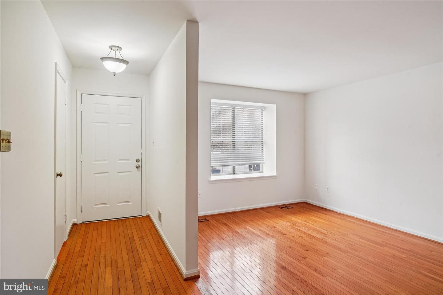 3835 Ferrara Drive photo 8