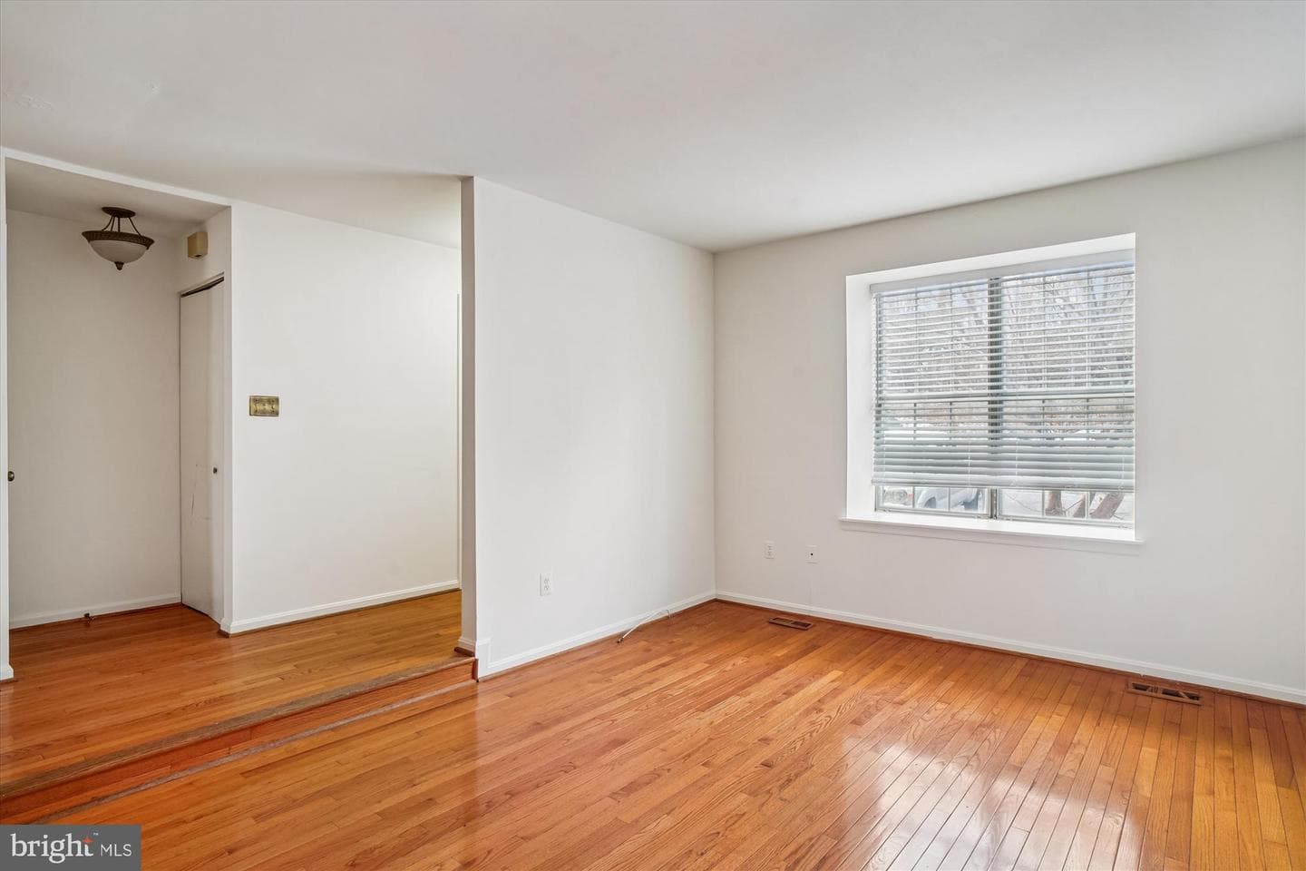 3835 Ferrara Drive photo 9