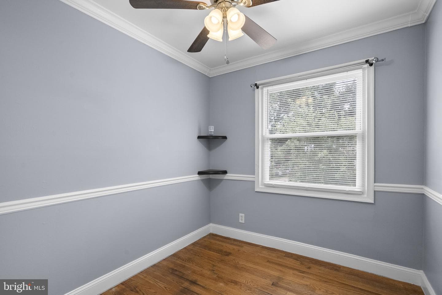 12220 Centerhill Street photo 17