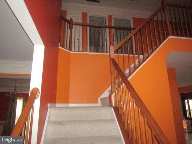 14713 Bubbling Spring Road photo 9