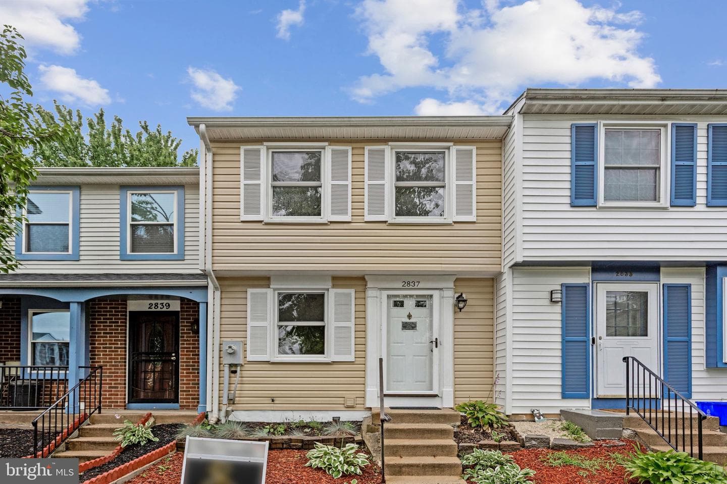 2837 Shepperton Terrace photo 4