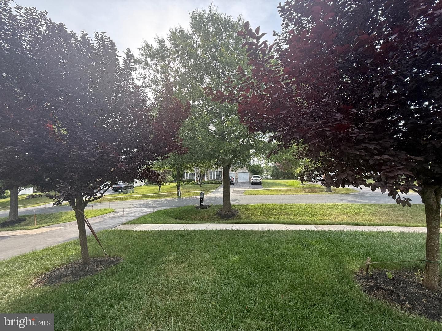 15224 Lions Den Road photo 13